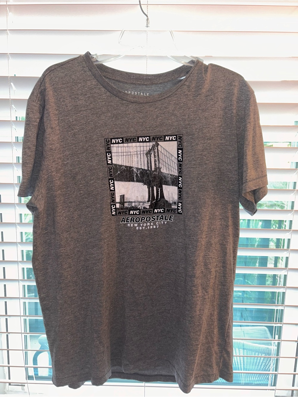 Aeropostale Men's Gray NYC Bridge Graphic Tee